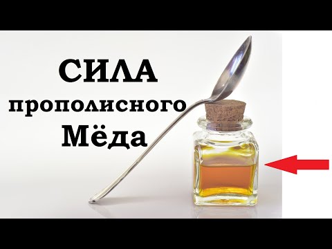 Как сделать Прополисный мёд - от вирусов сильное средство и для укрепления иммунитета