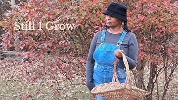 Finding Stability When Life Felt Uncertain