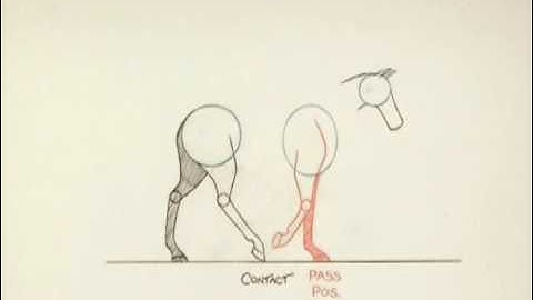 Animating Horse Walk Cycle