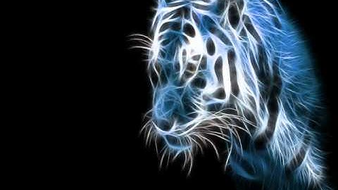 Easily Embarrassed - Shrouded in Dark Matter