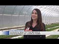 Augusta Health takes over campus farm