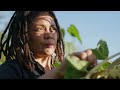 London Grown | Preview