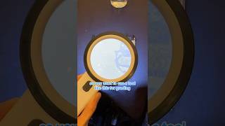 The Grading Tool That Bgs Gave Us At The Vip Beckett Showcase bgs