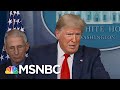 Rimoin: Trump Plan To Open Up The Country By Easter Is Dangerous | The 11th Hour | MSNBC