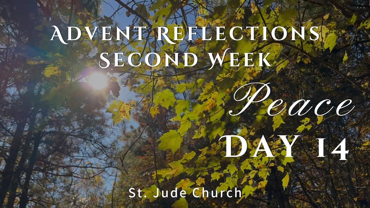 ADVENT DAILY REFLECTIONS - SECOND WEEK - DAY 14 - YouTube