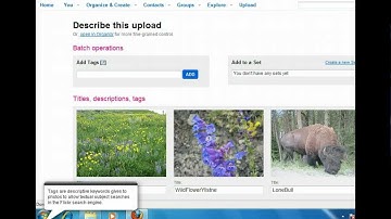 Flickr - Organize Photos on Flickr - Imaging And Multimedia
