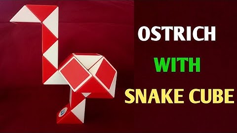 How to Make Ostrich with Smiggle Snake Cube | Rubiks Snake Puzzle | Trendz Videos