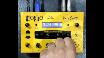 Demo del DSI Mopho Desktop