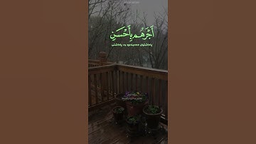 #سورة النحل#القارئ عبد الرحمن مسعد