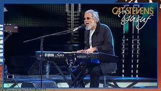 Yusuf / Cat Stevens - Sitting (Viña Del Mar Festival, Chile 2015) chords