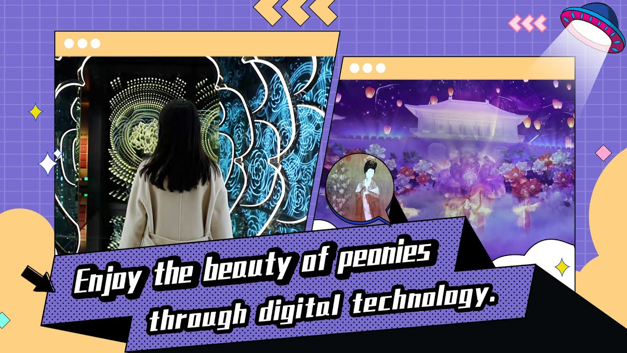 Enjoy the beauty of peonies through digital technology.