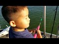 New Hogan Fishing