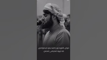 شيخ رعد محمد الكردي اجمل حالات واتس اب دينية سورة النور والله عليم بما يفعلون 🌼💙