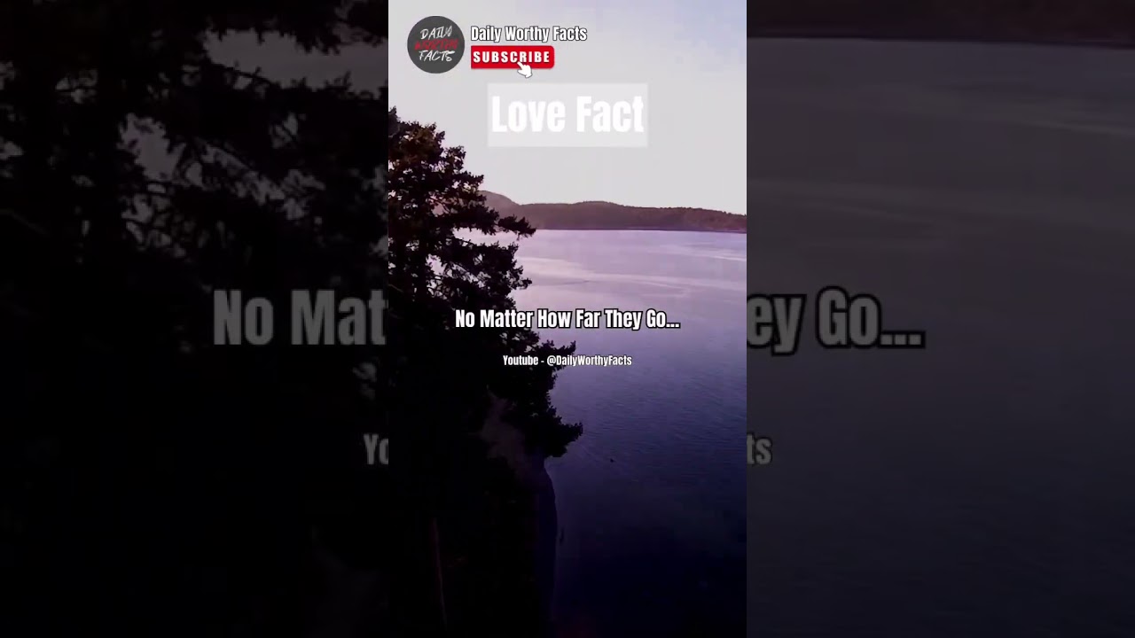 When Two Hearts Are Meant To Be Together… 