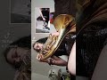 Blackbird by the Beatles #oglesbi #cover #frenchhorn #guitar #duet