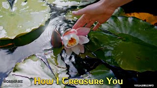 Project 7: A Touch of Heaven | Track02: HOW I TREASURE YOU |-Orchestral | Eccl 4:9-10 | 1 Thess 5:11