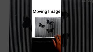 Butterflies Animated Illusion 🦋 #shorts