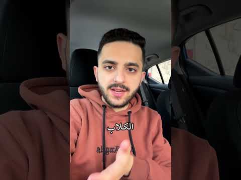 هل قتل الكلاب السائبة هو الحل 