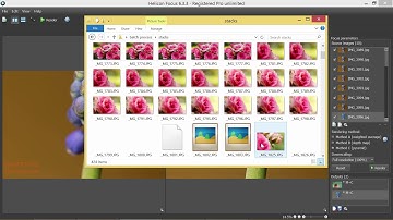 Helicon Focus - Batch processing mode