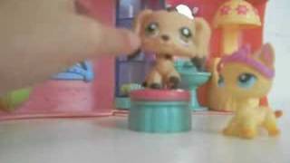 The Lps Hair Salon