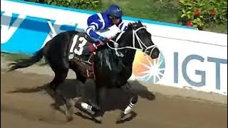 FIND YOUR WINNERS HERE AT CAYMANAS PARK EXERCISE TRACK