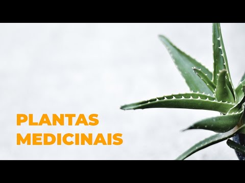 Vídeo: Plantas Como Matéria-prima Medicinal