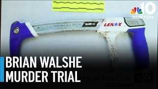 Jurors in Brian Walshe trial consider blood and DNA evidence