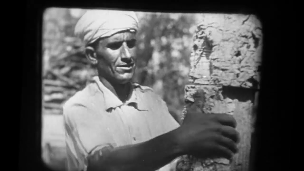16 мм фильм "Сухие субтропики северной Африки" 16mm film "Dry Subtropics of North Africa"