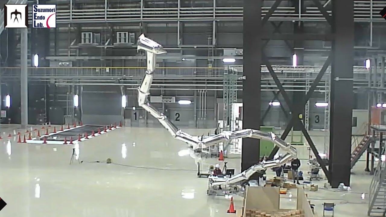 slutpunkt klodset halvleder 20m Super Long Robot Arm - Giacometti Arm with Balloon Body - - YouTube