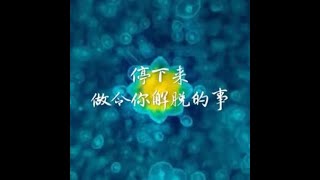 201411 停下来　做令你解脱的事31022
