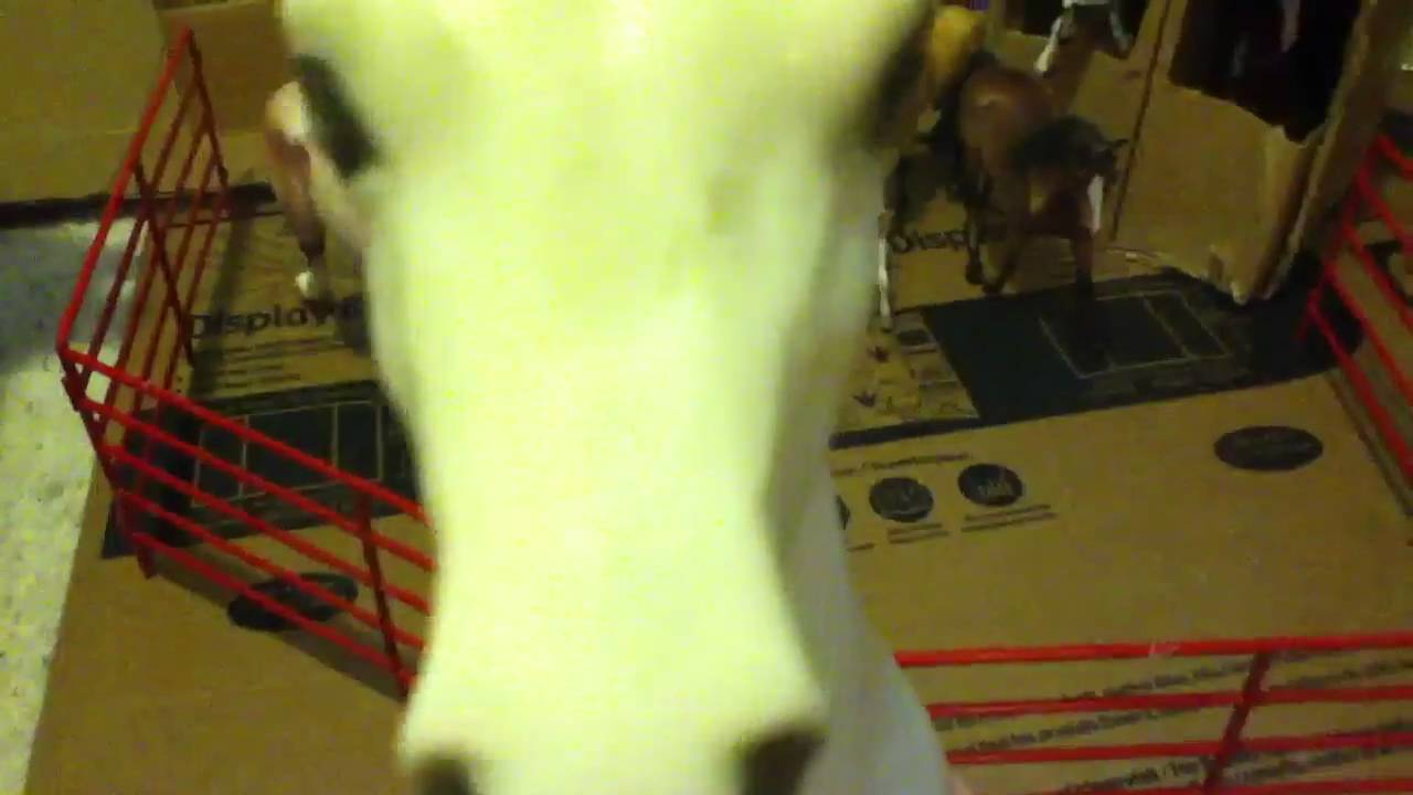 Funny Breyer horse YouTube