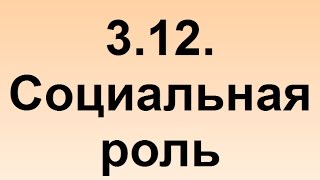 3.12. Социальная роль