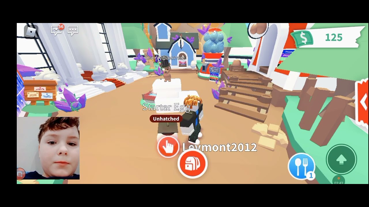 касса в adopt me