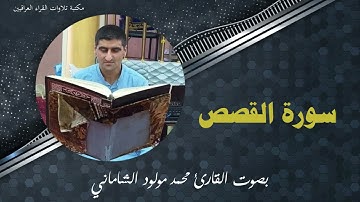 سورة القصص بصوت القارئ محمد مولود الشاماني