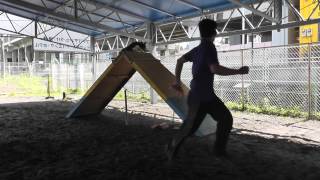 KANNA A-frame Running contacts Lesson3 2015/7/17