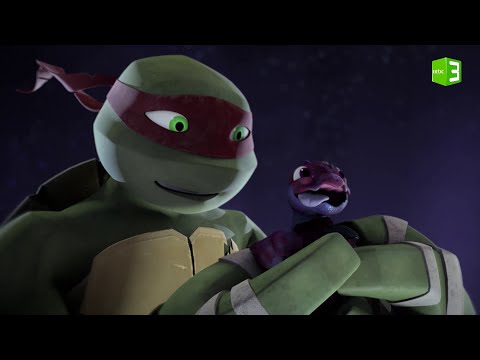 عودة صغير السلحفاة الفضائي