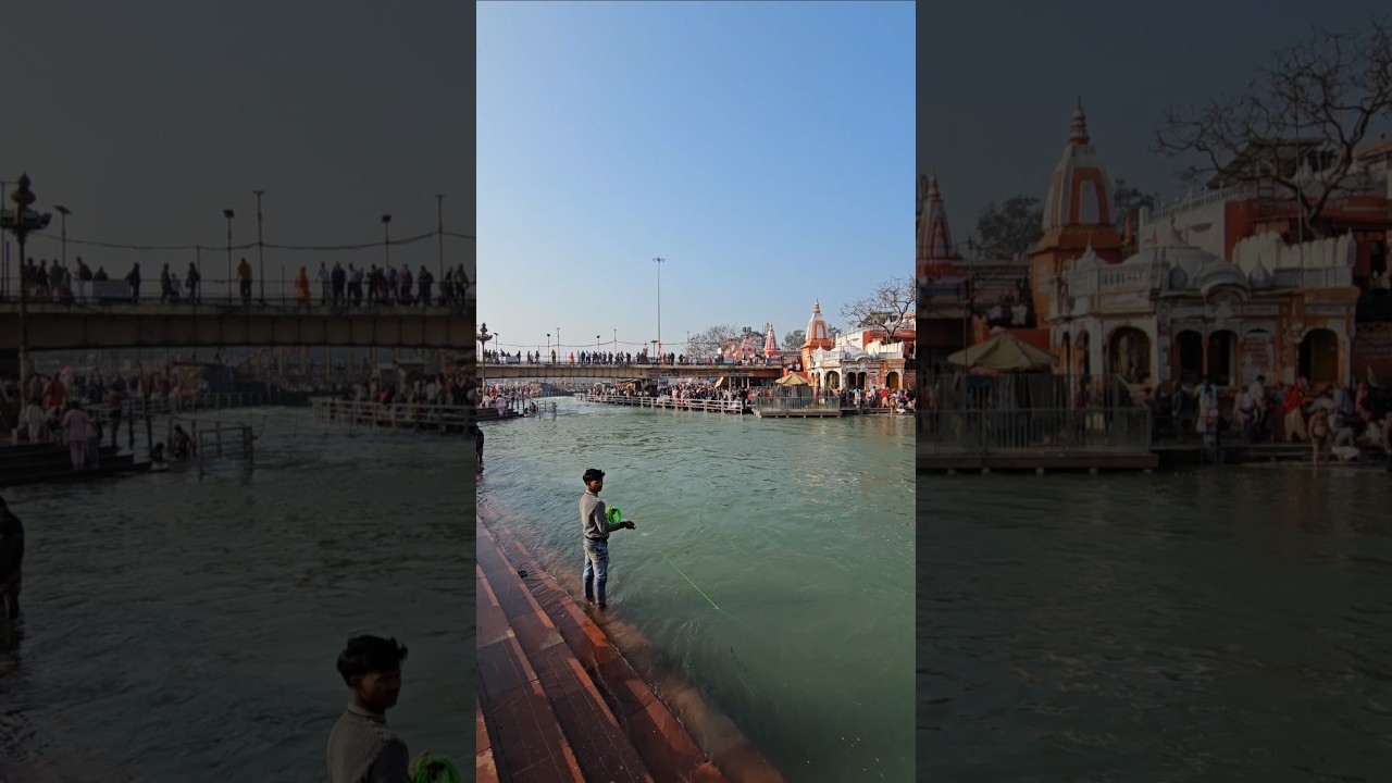 Haridwar 25 February Video, #youtubeshorts, #shortsvideo