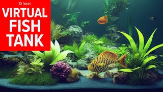 9 Hour Virtual Fish Tank for Sleeping - Part 2 by Fryhorn 1,483 views 1 year ago 9 hours, 46 minutes