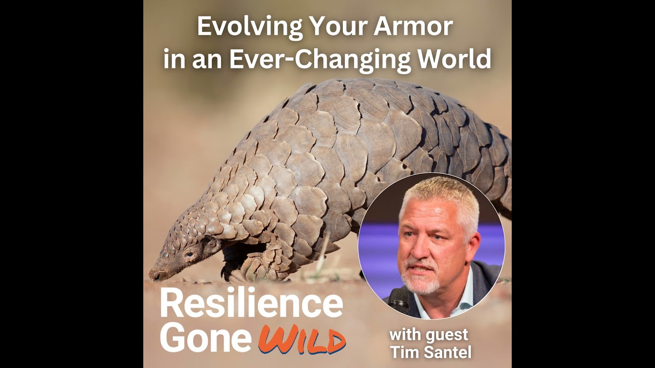 Evolving Your Armor in an Ever-Changing World: What Pangolins Teach Us About Updating Protection ...