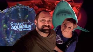 Sharks, Stingrays & Smoky Mountain Wonders | Ripley’s Aquarium of the Smokies
