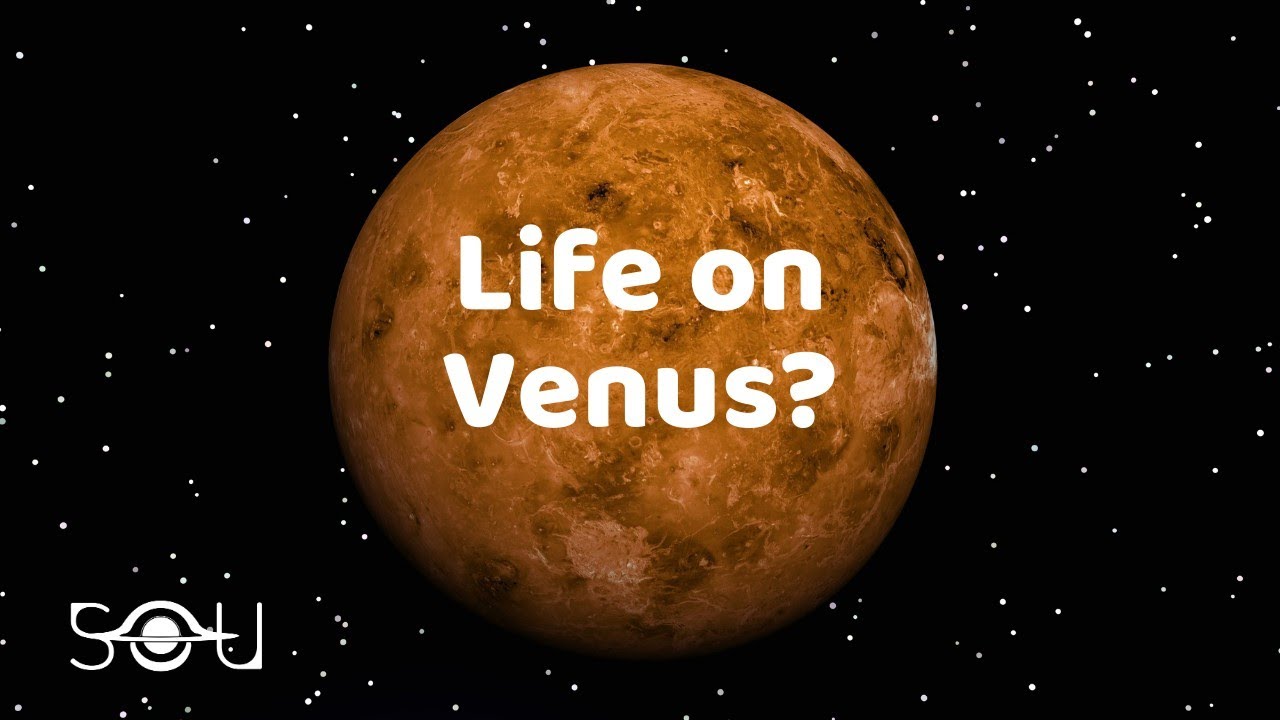 Astronomers Have Discovered Potential Signs of Life On Venus