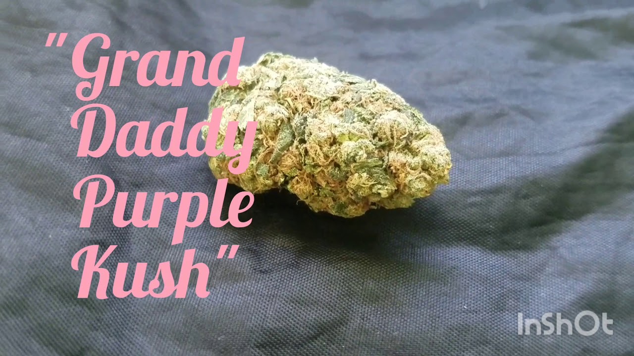 Cannabis STRAIN : "Grand Daddy Purple Kush"