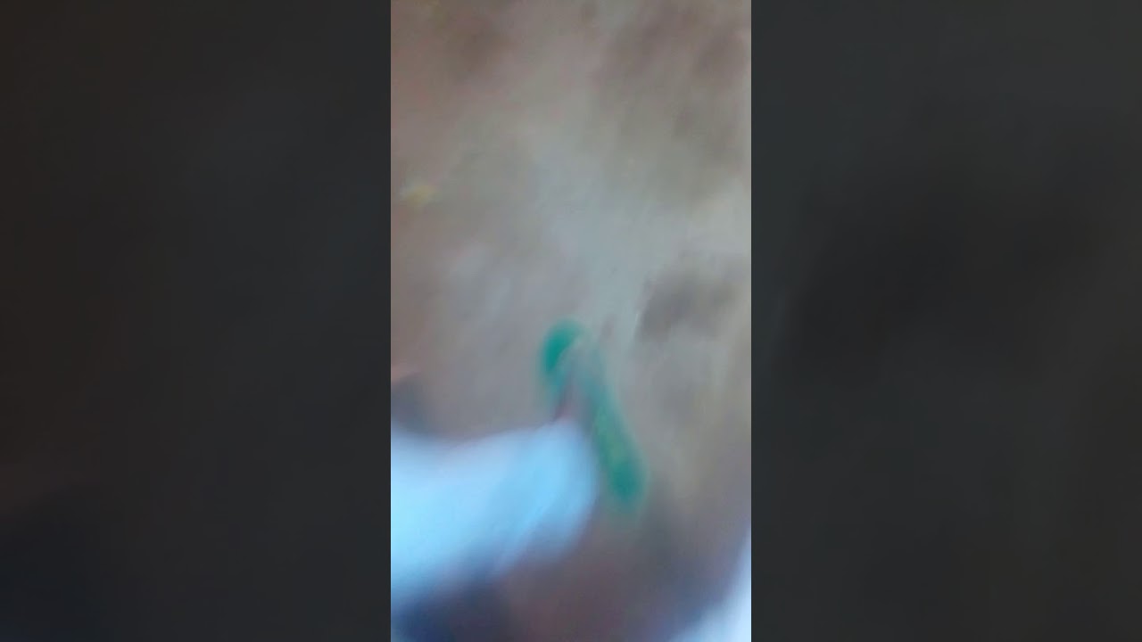 Gajna Toda Bhim ki ladki