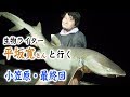 生物ライター・平坂さんと行く小笠原旅 最終回 〜小笠原の自然を大満喫！！〜