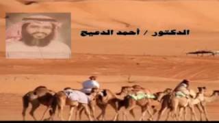 التاريخ السياسي الأموي / د. أحمد الدعيج / الجزء الأول