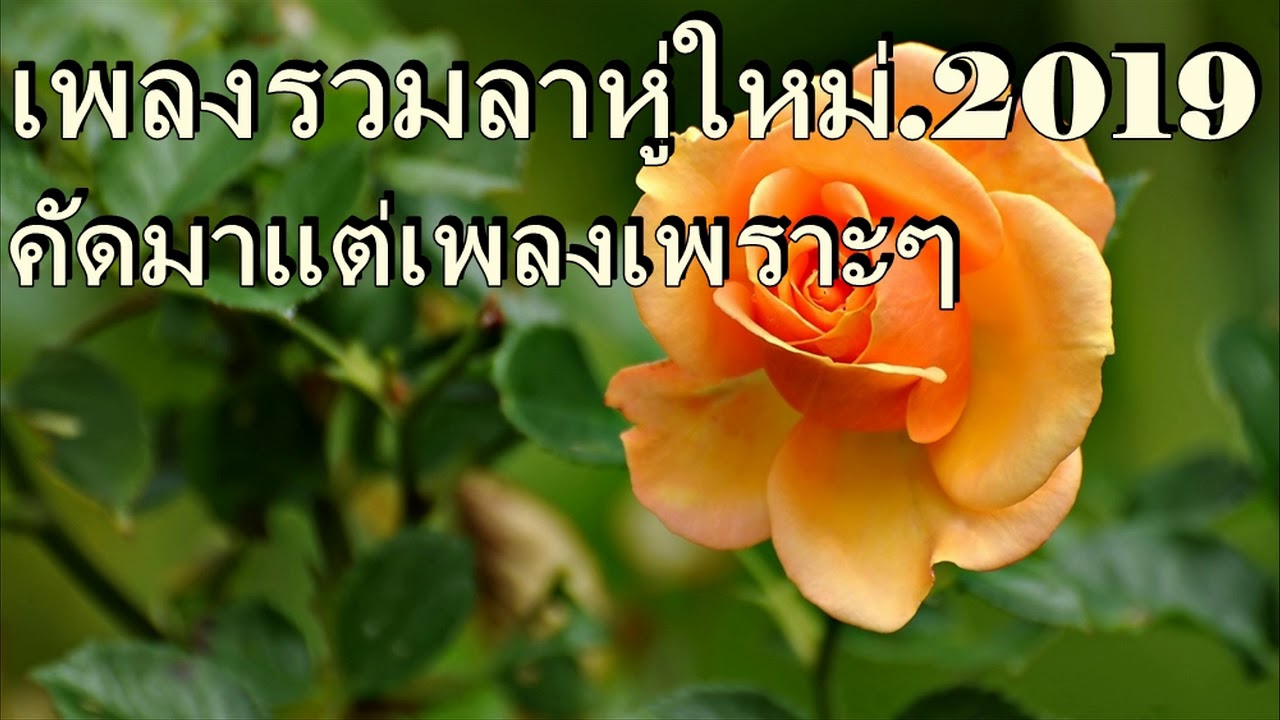 เพลงลาหู่รวมใหม่ 2019