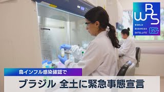 ブラジル 鳥インフル感染確認で緊急事態宣言【WBS】（2023年5月23日）