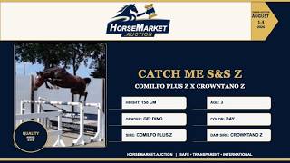 CATCH ME S&S IN THE HORSEMARKET.AUCTION WEEK 32 LOOSE JUMPING BIDDING AUGUST 1 TO AUGUST 3