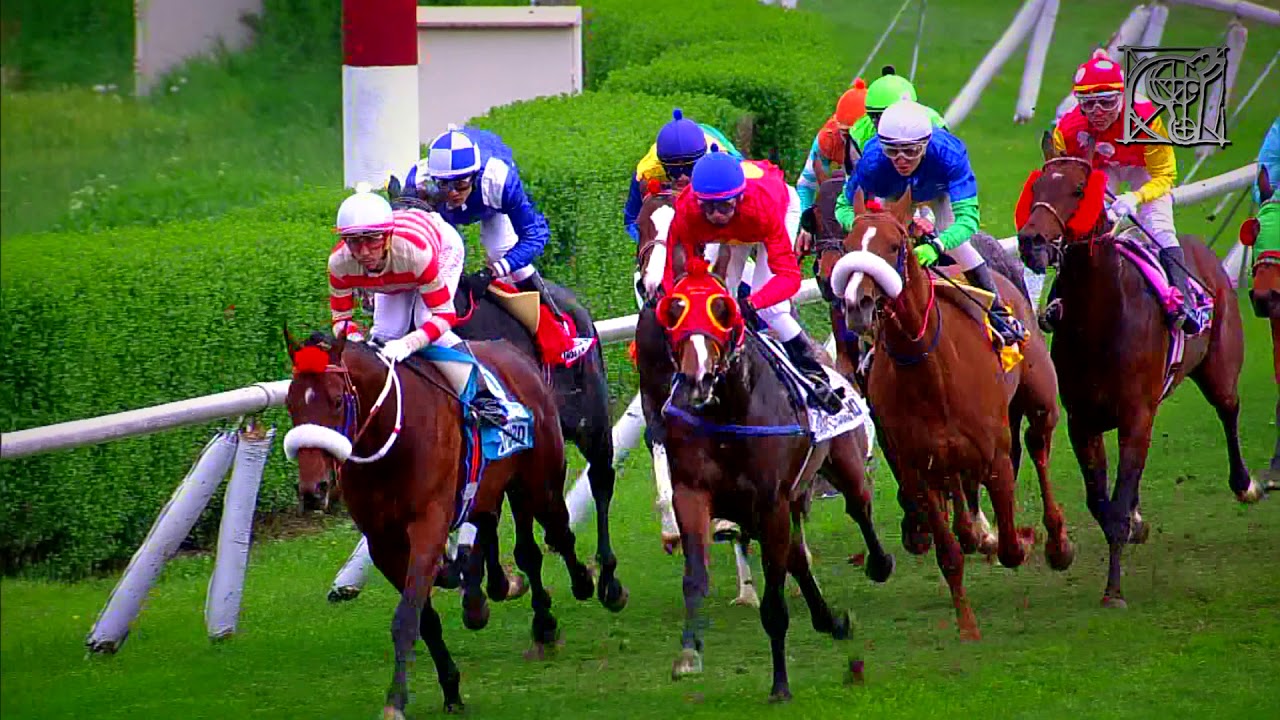 NACIONAL RICARDO LYON 2018 camera iphone 8 plus apk
