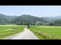 Smoke from the Canadian wildfires as seen in Valle Crucis at 1:05pm.